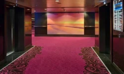 The Curious and Interesting History of Carpets