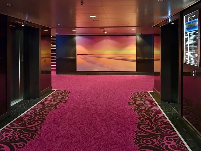 Carpet